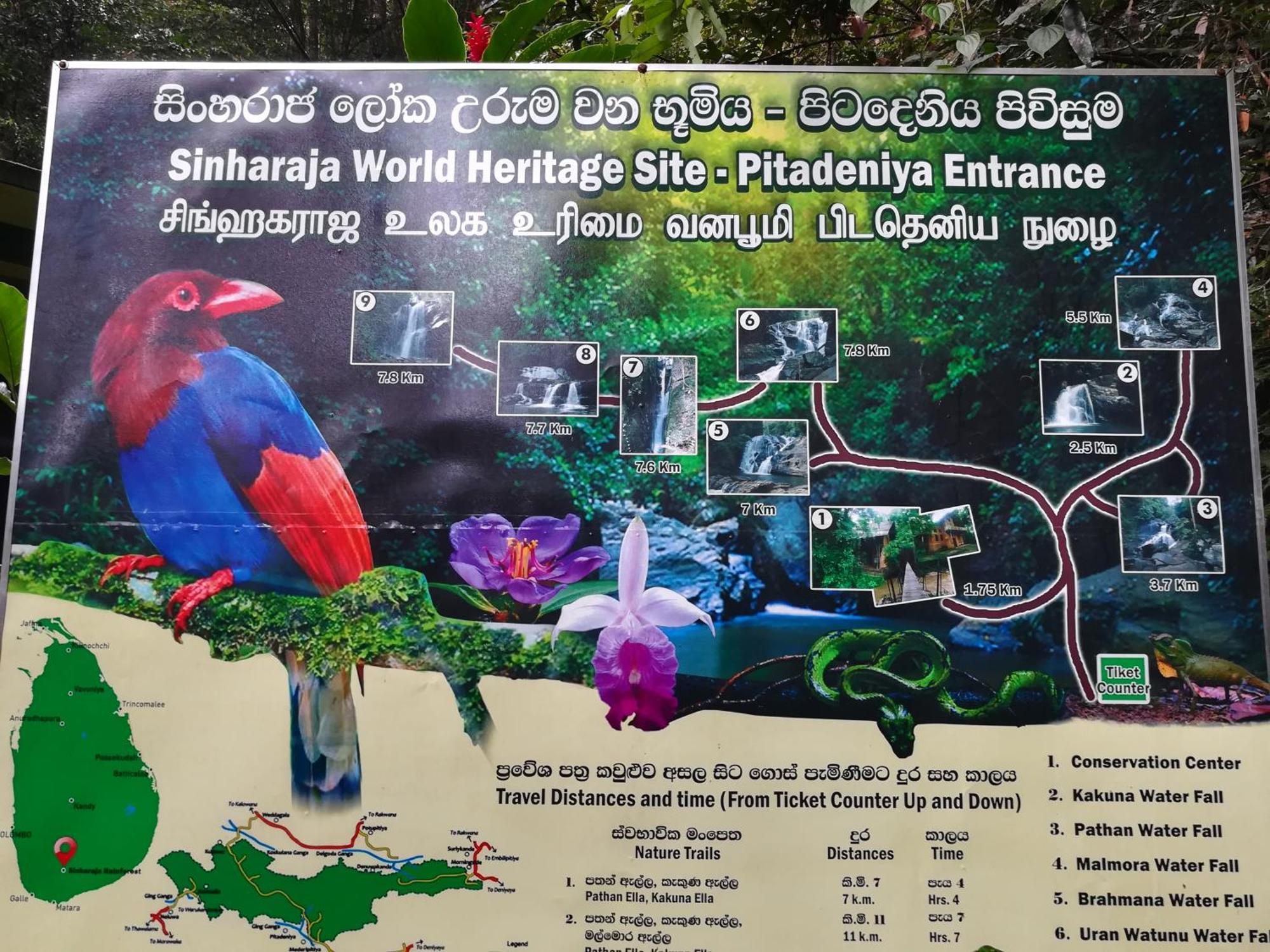 Sinharaja Vini Villa Deniyaya Habitación foto