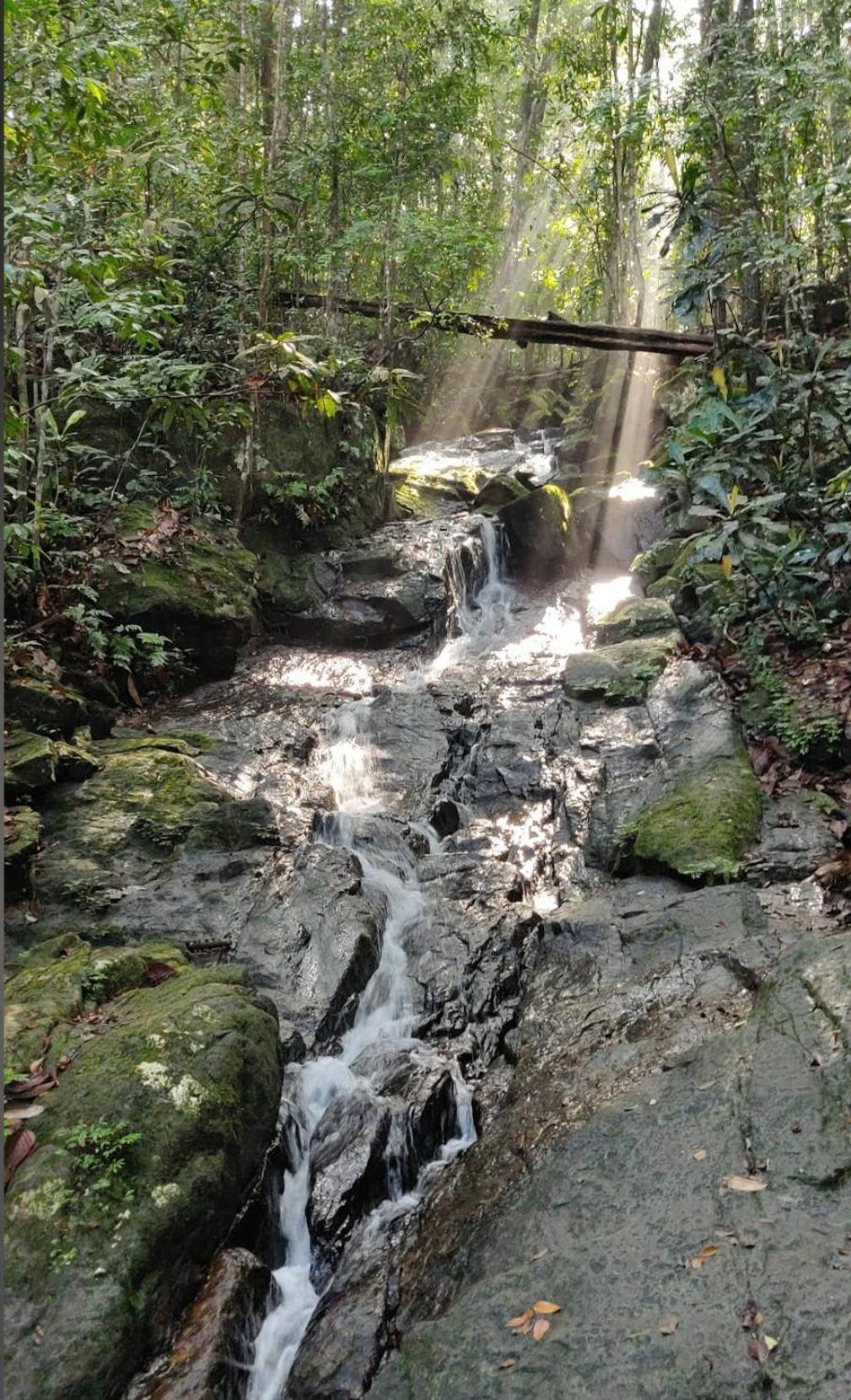 Sinharaja Vini Villa Deniyaya Exterior foto